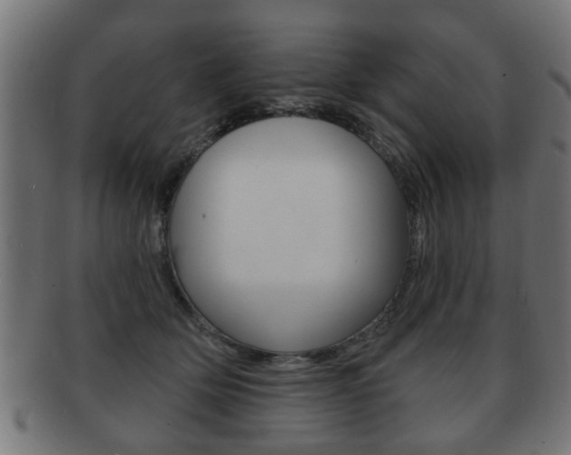 X0000091990514200709061223