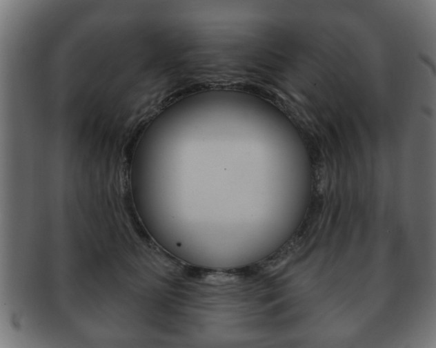 X0000091990515200709061223