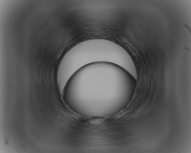 X0000091990516200709061223