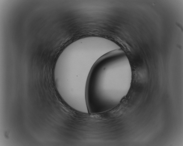 X0000091990517200709061223