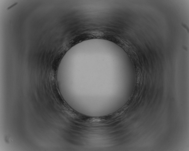 X0000091990518200709061223