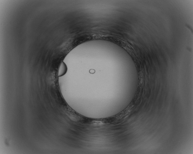 X0000091990519200709061223
