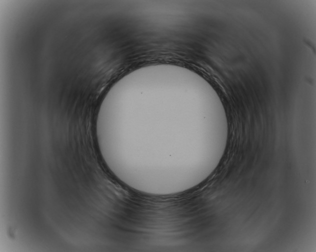 X0000091990520200709061223