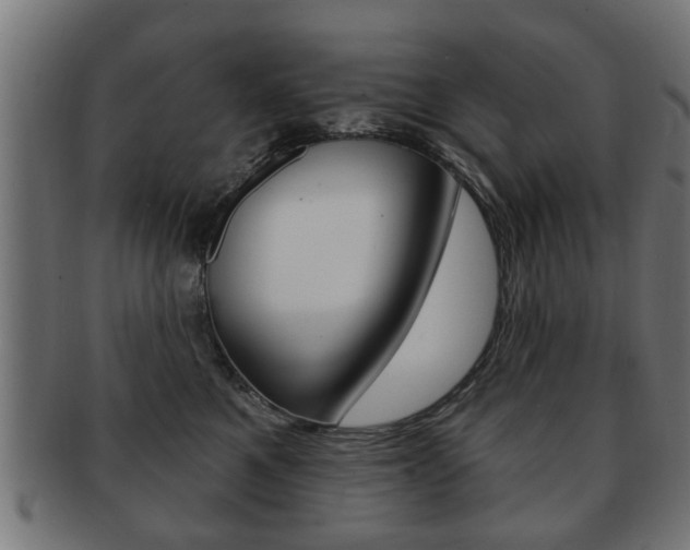 X0000091990521200709061223