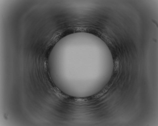 X0000091990522200709061223
