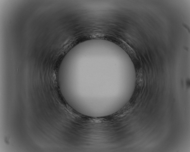 X0000091990523200709061223