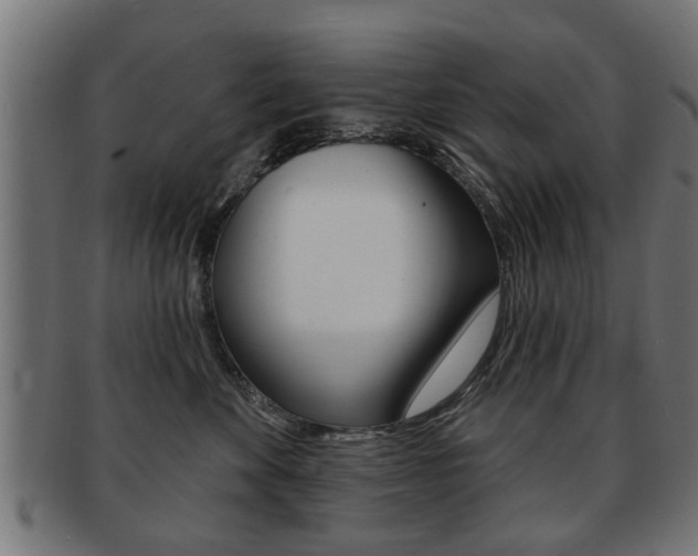 X0000091990524200709061223