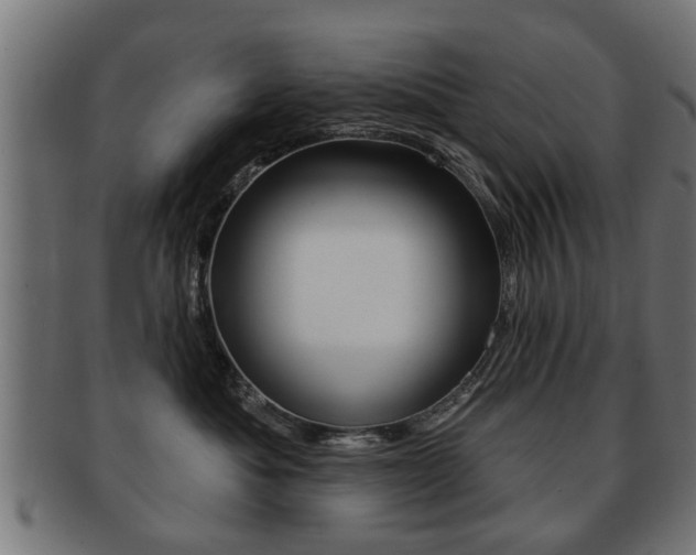 X0000091990525200709061223
