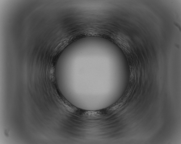 X0000091990526200709061223