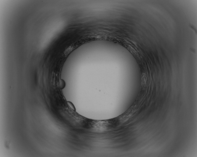 X0000091990527200709061223