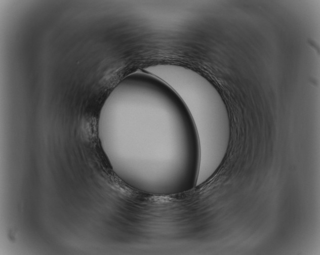 X0000091990528200709061223