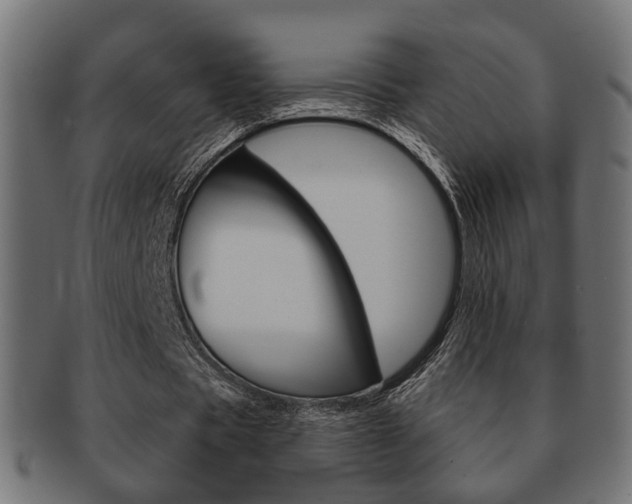 X0000091990529200709061223