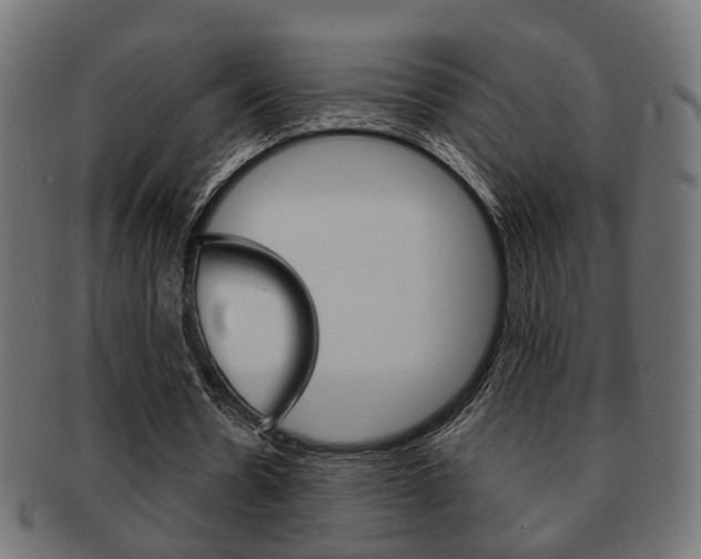 X0000091990530200709061223