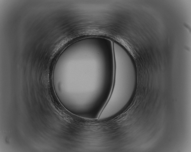 X0000091990531200709061223