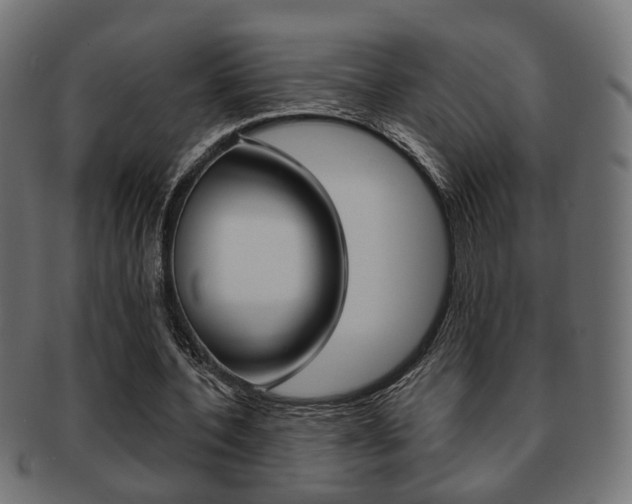 X0000091990532200709061223