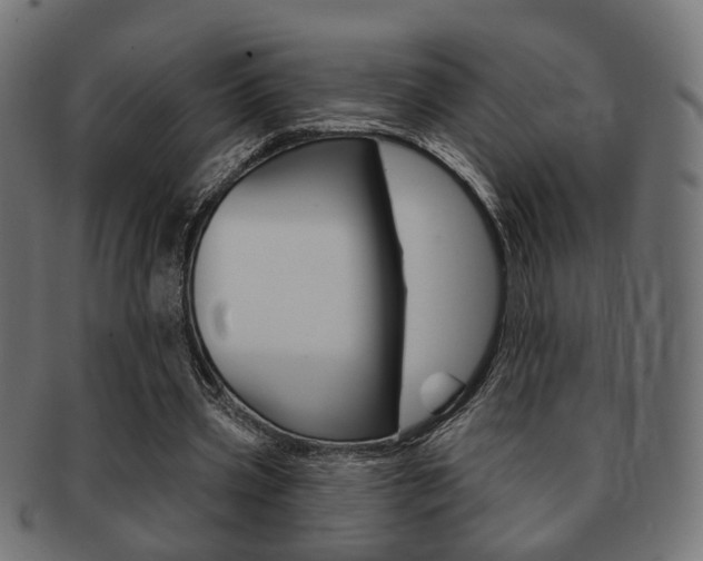 X0000091990533200709061223