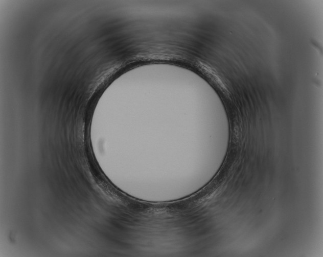 X0000091990534200709061223