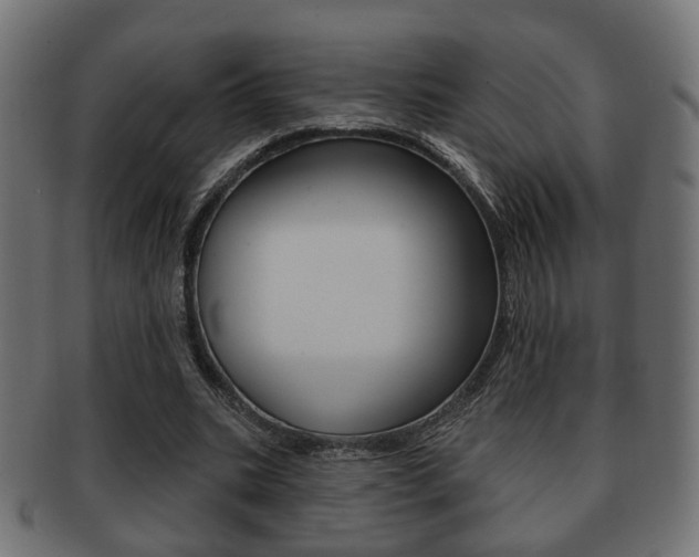 X0000091990535200709061223