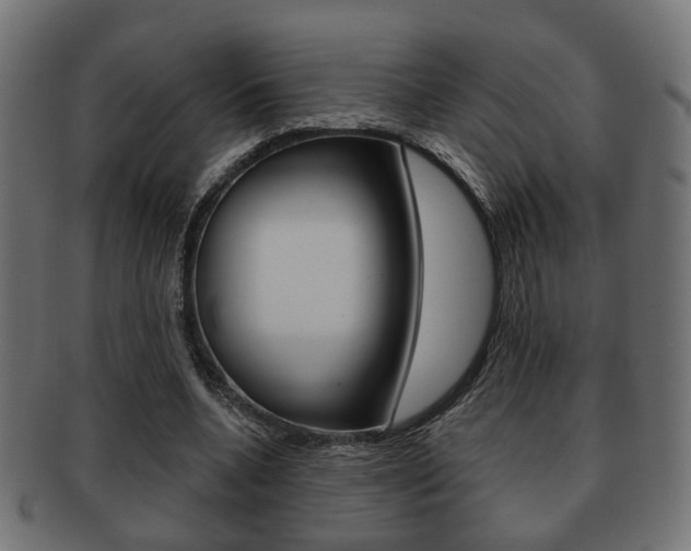 X0000091990536200709061223