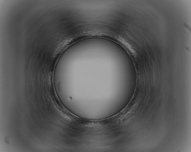 X0000091990537200709061223