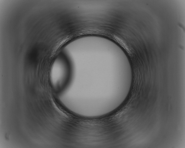 X0000091990538200709061223