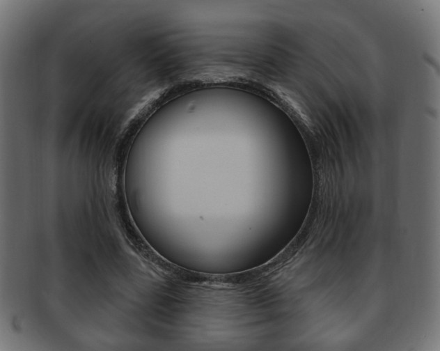 X0000091990539200709061223