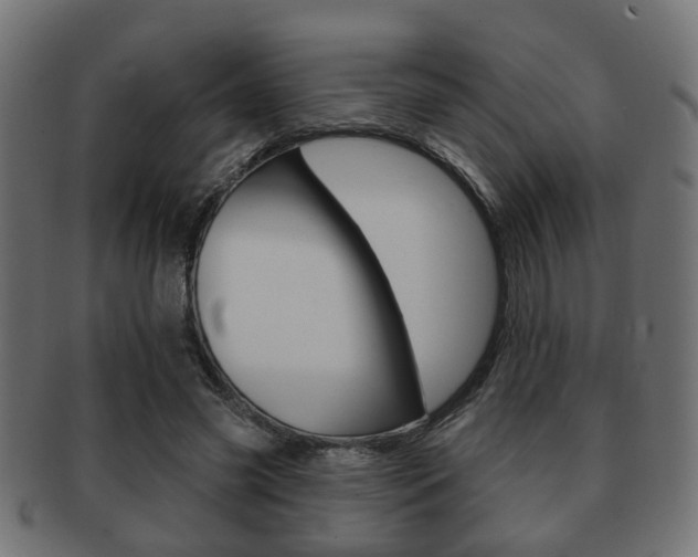 X0000091990541200709061223