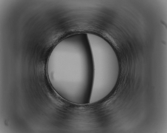 X0000091990542200709061223