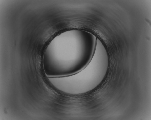 X0000091990544200709061223