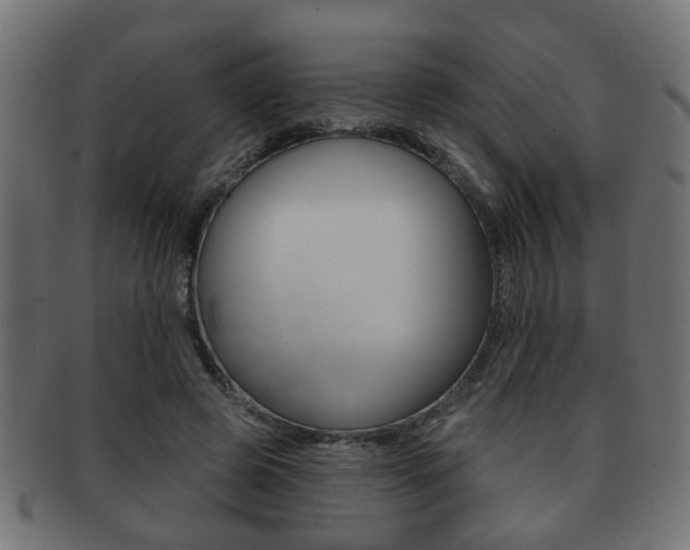 X0000091990545200709061223