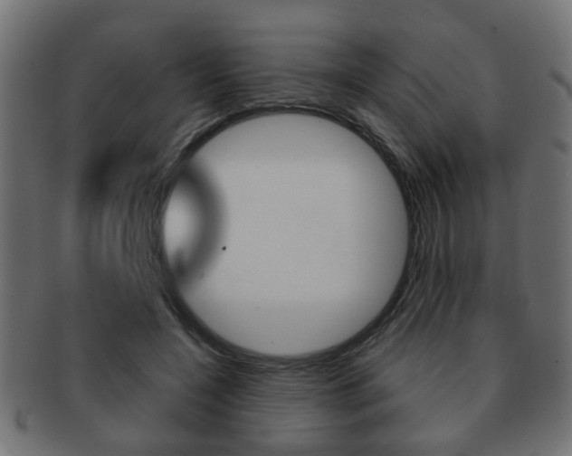 X0000091990548200709061223