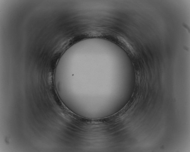 X0000091990549200709061223