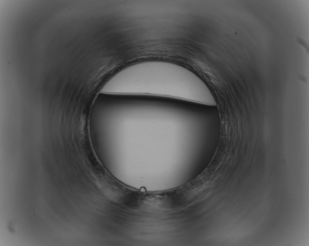 X0000091990550200709061223