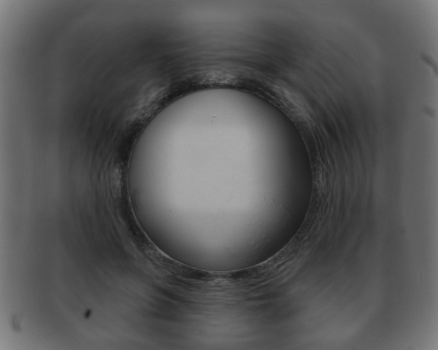 X0000091990551200709061223