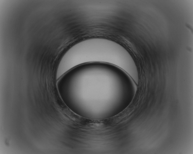 X0000091990552200709061223