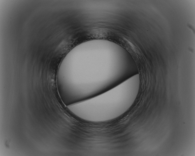 X0000091990553200709061223