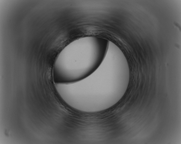 X0000091990554200709061223