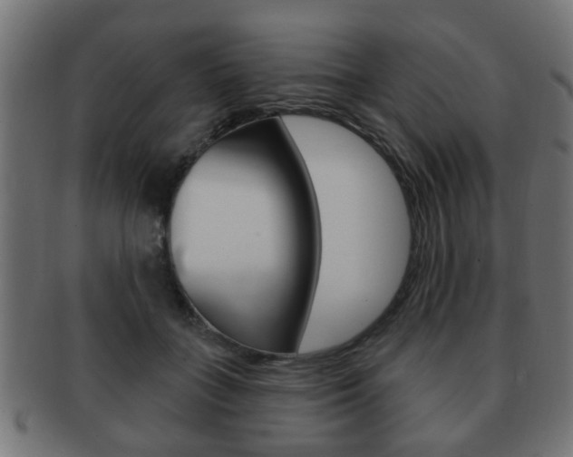 X0000091990555200709061223