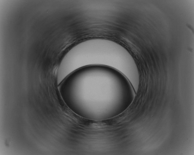 X0000091990556200709061223