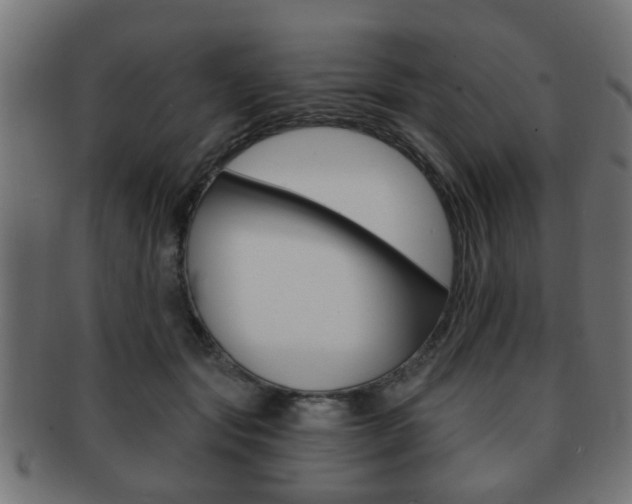 X0000091990557200709061223