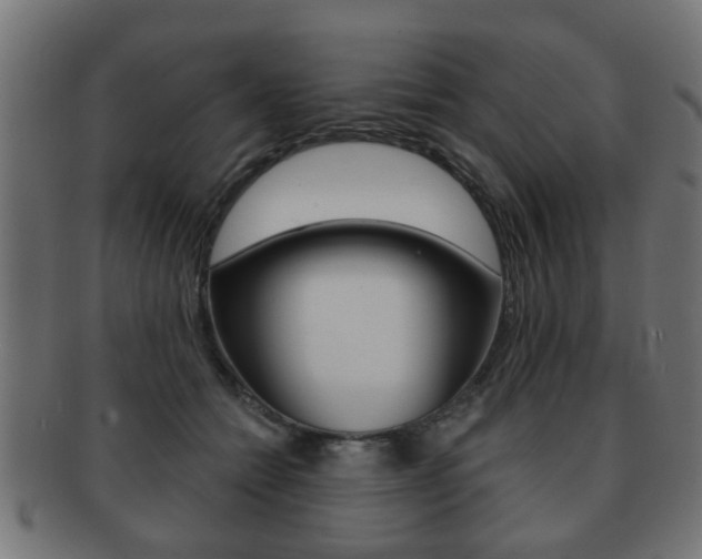 X0000091990558200709061223