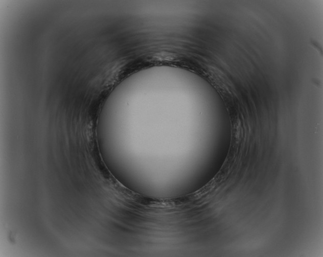 X0000091990559200709061223