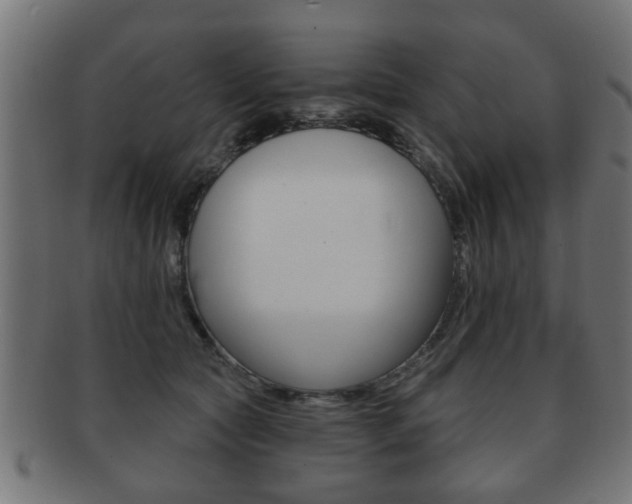 X0000091990561200709061223