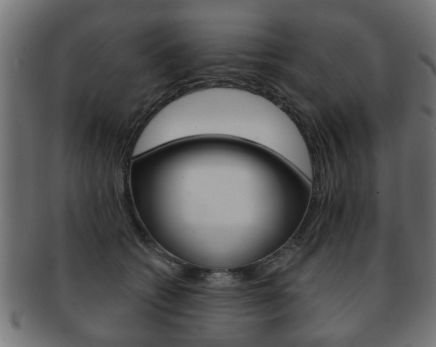 X0000091990562200709061223