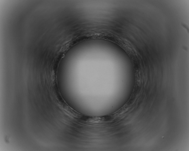X0000091990563200709061223