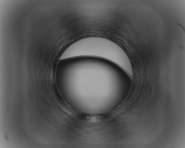 X0000091990564200709061223