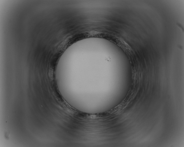 X0000091990565200709061223