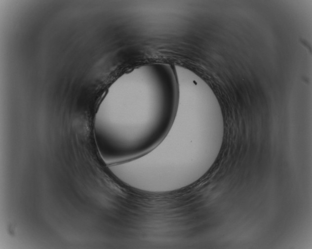 X0000091990566200709061223