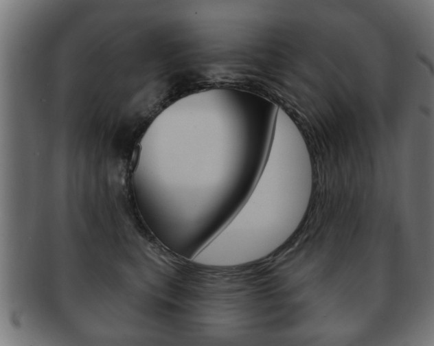 X0000091990567200709061223