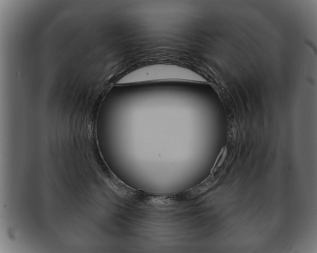 X0000091990568200709061223